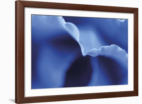 Indigo Reflection-Gaetan Caron-Framed Giclee Print