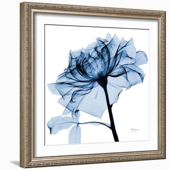 Indigo Rose 2-Albert Koetsier-Framed Art Print