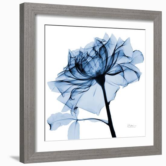 Indigo Rose 2-Albert Koetsier-Framed Art Print