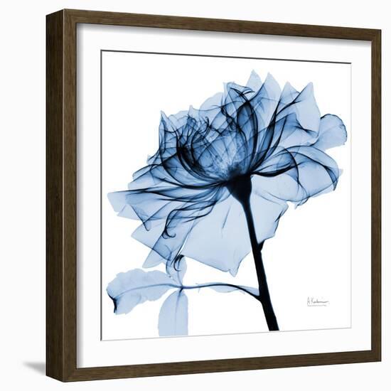 Indigo Rose 2-Albert Koetsier-Framed Art Print