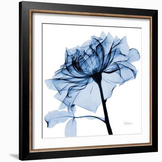 Indigo Rose 2-Albert Koetsier-Framed Art Print