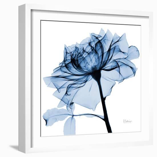 Indigo Rose 2-Albert Koetsier-Framed Art Print