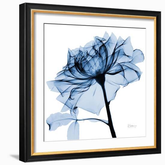 Indigo Rose 2-Albert Koetsier-Framed Art Print