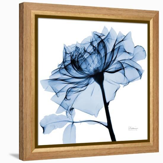 Indigo Rose 2-Albert Koetsier-Framed Stretched Canvas