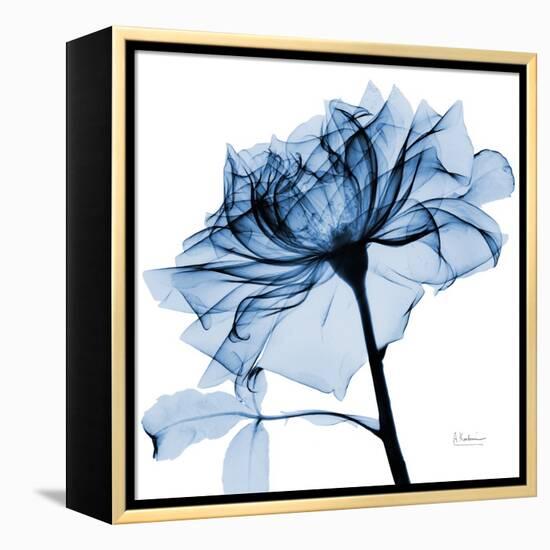 Indigo Rose 2-Albert Koetsier-Framed Stretched Canvas