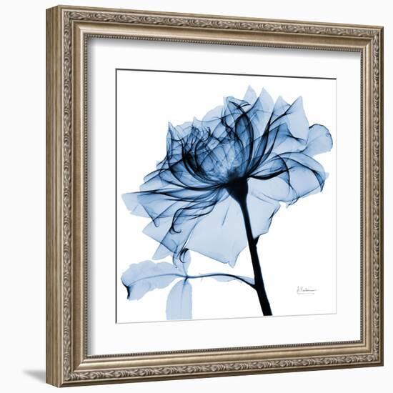 Indigo Rose 2-Albert Koetsier-Framed Art Print