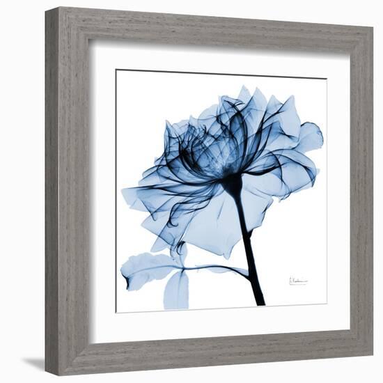 Indigo Rose 2-Albert Koetsier-Framed Art Print