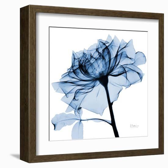 Indigo Rose 2-Albert Koetsier-Framed Art Print