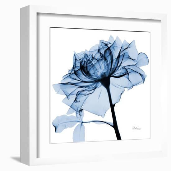 Indigo Rose 2-Albert Koetsier-Framed Art Print