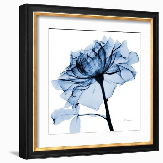 Indigo Rose 2-Albert Koetsier-Framed Art Print