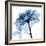 Indigo Rose 2-Albert Koetsier-Framed Premium Giclee Print