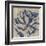 Indigo Rose-Chariklia Zarris-Framed Art Print