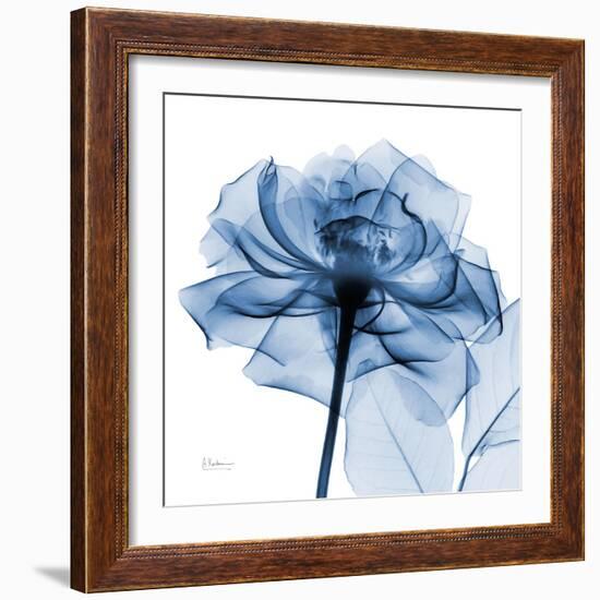 Indigo Rose-Albert Koetsier-Framed Art Print