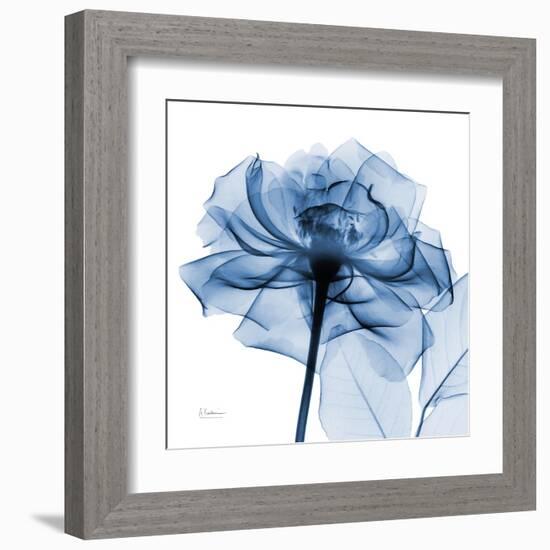 Indigo Rose-Albert Koetsier-Framed Art Print