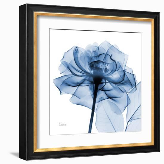 Indigo Rose-Albert Koetsier-Framed Art Print