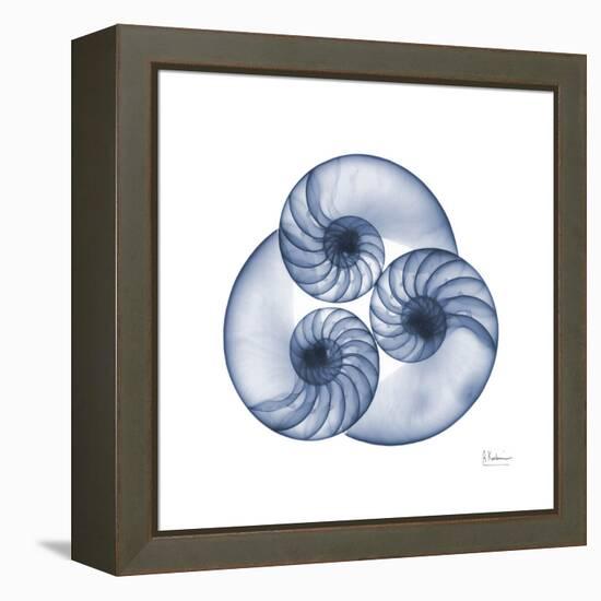 Indigo Sea Nautilus-Albert Koetsier-Framed Stretched Canvas