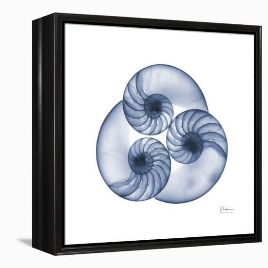 Indigo Sea Nautilus-Albert Koetsier-Framed Stretched Canvas