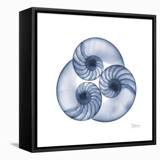 Indigo Sea Nautilus-Albert Koetsier-Framed Stretched Canvas