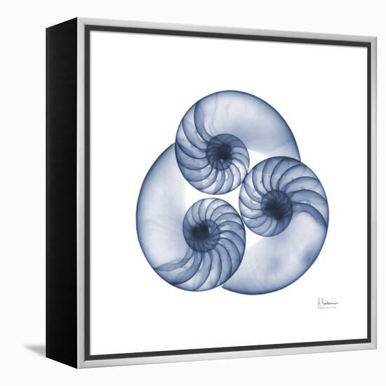 Indigo Sea Nautilus-Albert Koetsier-Framed Stretched Canvas