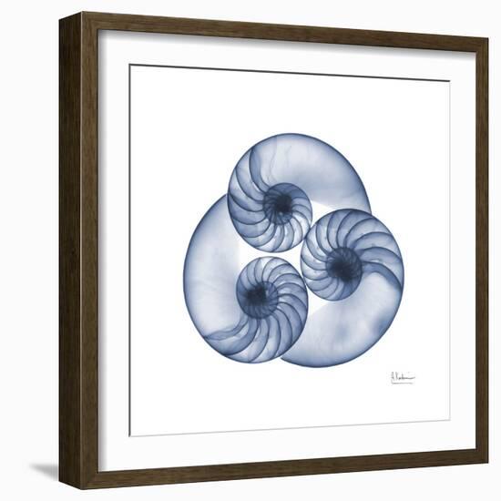 Indigo Sea Nautilus-Albert Koetsier-Framed Art Print