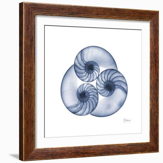 Indigo Sea Nautilus-Albert Koetsier-Framed Art Print