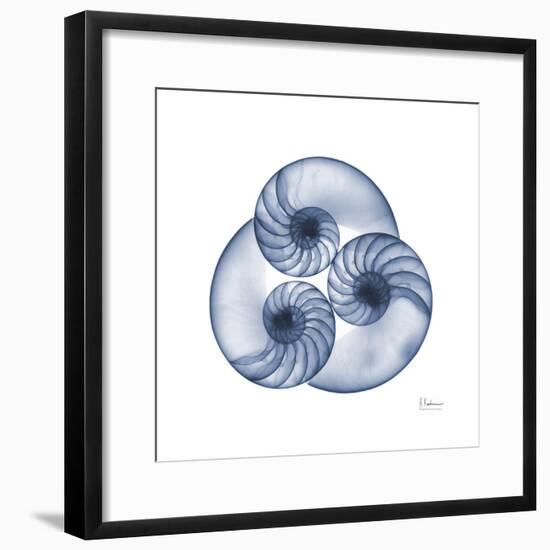 Indigo Sea Nautilus-Albert Koetsier-Framed Art Print