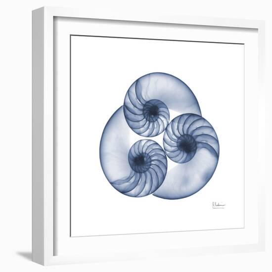 Indigo Sea Nautilus-Albert Koetsier-Framed Art Print