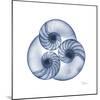 Indigo Sea Nautilus-Albert Koetsier-Mounted Art Print