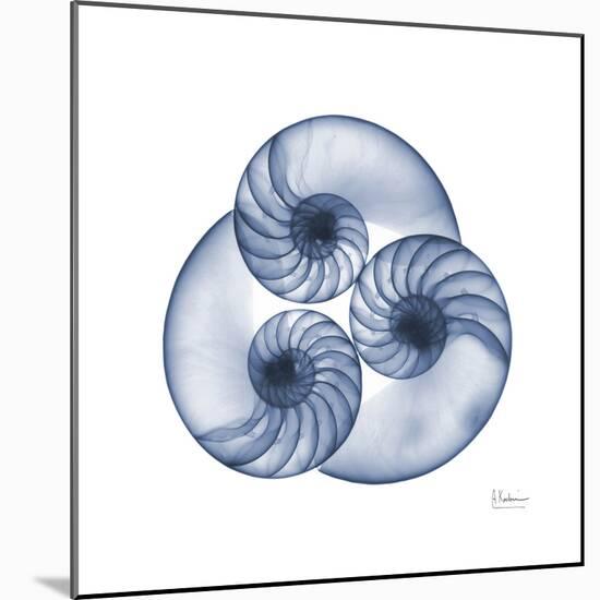 Indigo Sea Nautilus-Albert Koetsier-Mounted Art Print
