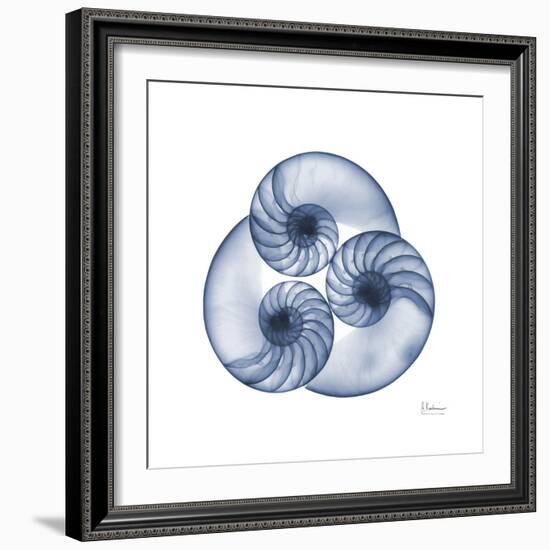 Indigo Sea Nautilus-Albert Koetsier-Framed Art Print