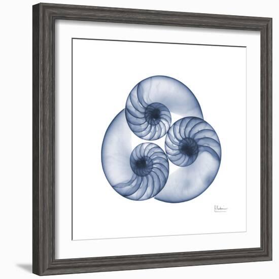 Indigo Sea Nautilus-Albert Koetsier-Framed Premium Giclee Print