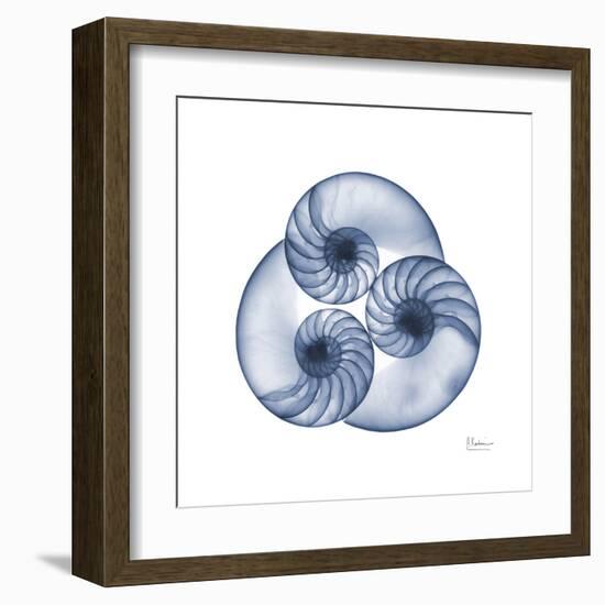 Indigo Sea Nautilus-Albert Koetsier-Framed Art Print