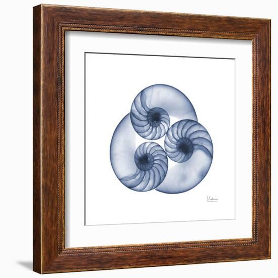 Indigo Sea Nautilus-Albert Koetsier-Framed Art Print