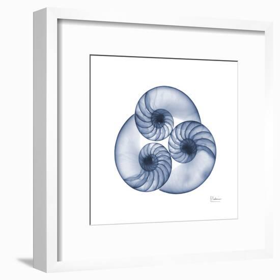 Indigo Sea Nautilus-Albert Koetsier-Framed Art Print