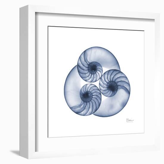 Indigo Sea Nautilus-Albert Koetsier-Framed Art Print