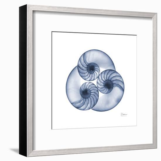 Indigo Sea Nautilus-Albert Koetsier-Framed Art Print