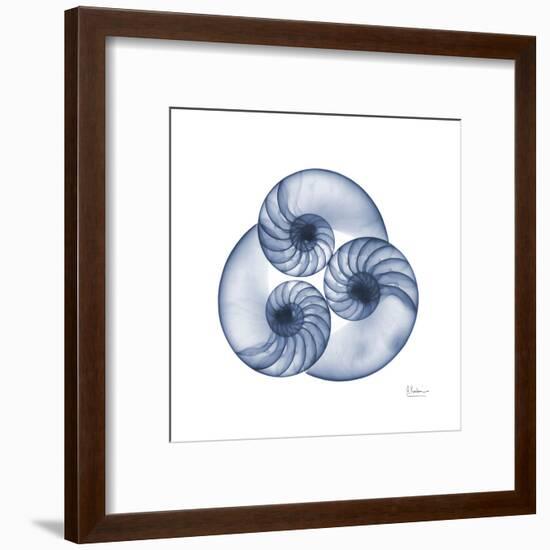 Indigo Sea Nautilus-Albert Koetsier-Framed Art Print