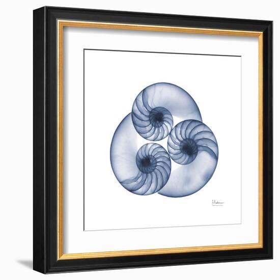 Indigo Sea Nautilus-Albert Koetsier-Framed Art Print