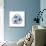 Indigo Sea Nautilus-Albert Koetsier-Mounted Premium Giclee Print displayed on a wall