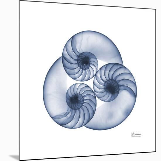 Indigo Sea Nautilus-Albert Koetsier-Mounted Premium Giclee Print