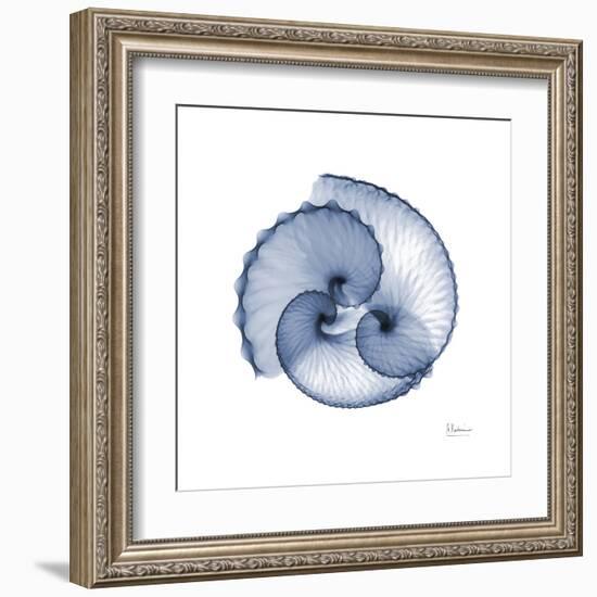 Indigo Sea Shells-Albert Koetsier-Framed Art Print