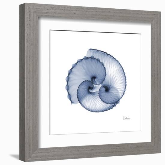 Indigo Sea Shells-Albert Koetsier-Framed Art Print