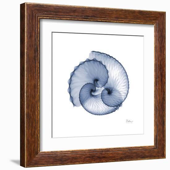 Indigo Sea Shells-Albert Koetsier-Framed Art Print