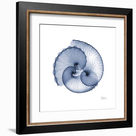 Indigo Sea Shells-Albert Koetsier-Framed Art Print