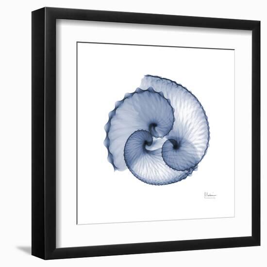 Indigo Sea Shells-Albert Koetsier-Framed Art Print