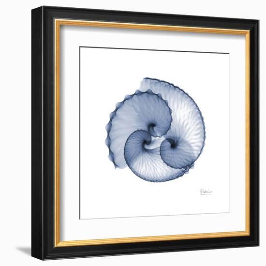 Indigo Sea Shells-Albert Koetsier-Framed Art Print