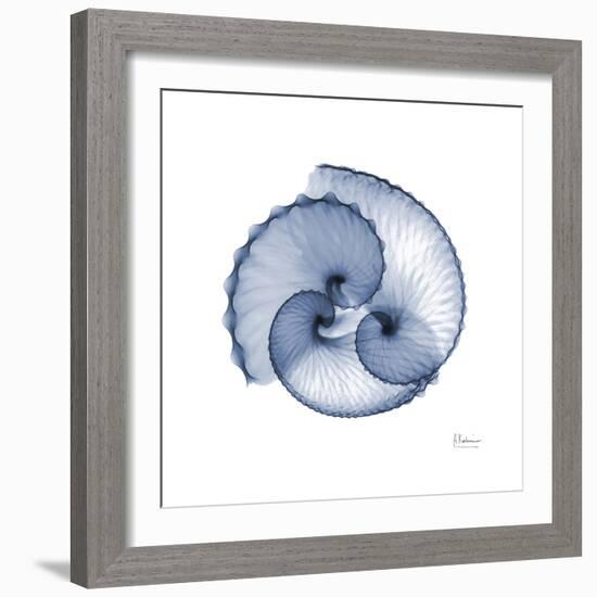 Indigo Sea Shells-Albert Koetsier-Framed Premium Giclee Print