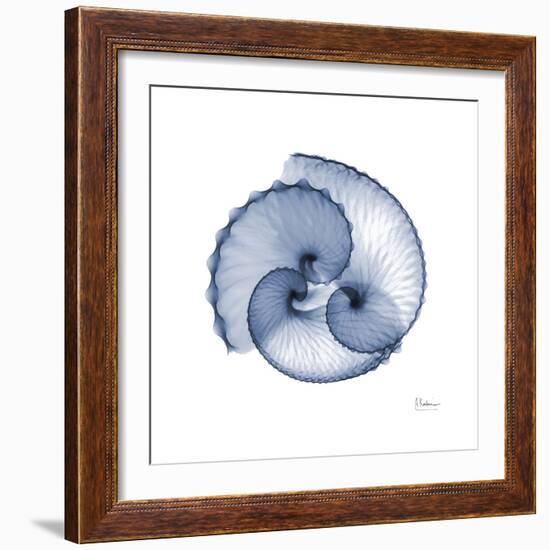 Indigo Sea Shells-Albert Koetsier-Framed Premium Giclee Print