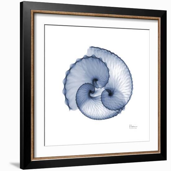 Indigo Sea Shells-Albert Koetsier-Framed Premium Giclee Print