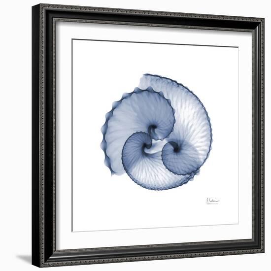 Indigo Sea Shells-Albert Koetsier-Framed Premium Giclee Print